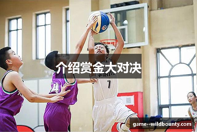 介绍赏金大对决